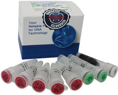 HelixAmp (dng)ֲѪҺӱֱ RT-PCRԇ