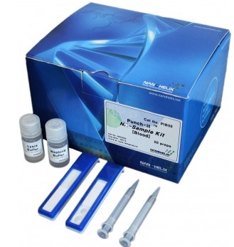 Punch-it ᣨDNA/RNA(jin)ȡԇ