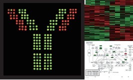 ScioCD(x)(bio)ӛCDӣ_(d)VwоƬ