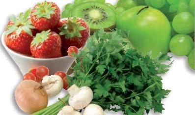 Demeditec 過敏原診斷試劑盒(ELISA法)