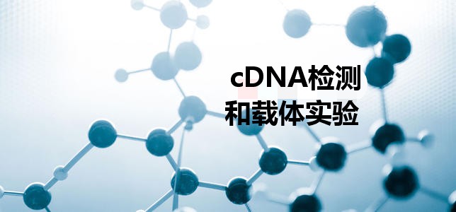 cDNA檢測和載體實驗